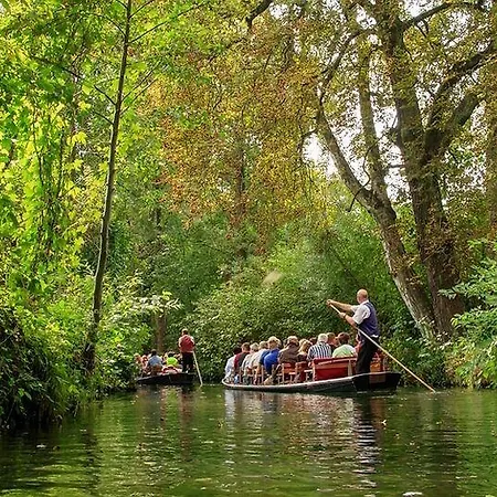 Western Spreewald 4* לובנאו